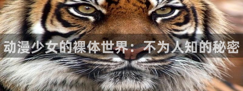 age动漫下载苹果版本：动漫少女的裸体世界：不为人知的秘密