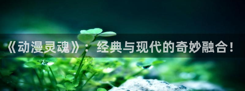 age动漫一周更新：《动漫灵魂》：经典与现代的奇妙融合！