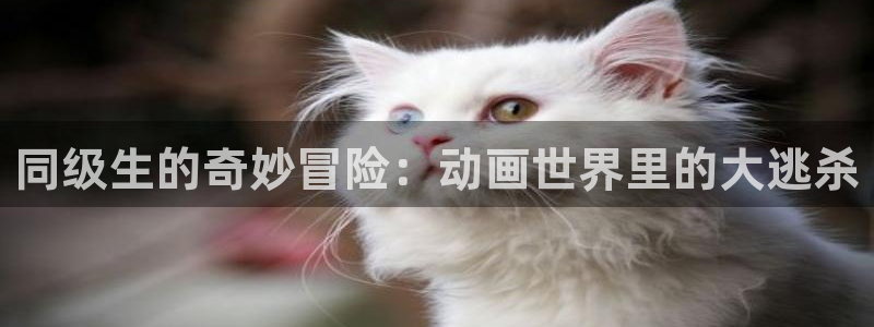 age动漫下载在线观看：同级生的奇妙冒险：动画世界里的大逃杀