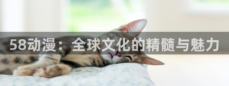 age动漫官方网页入口：58动漫：全球文化的精髓与魅力