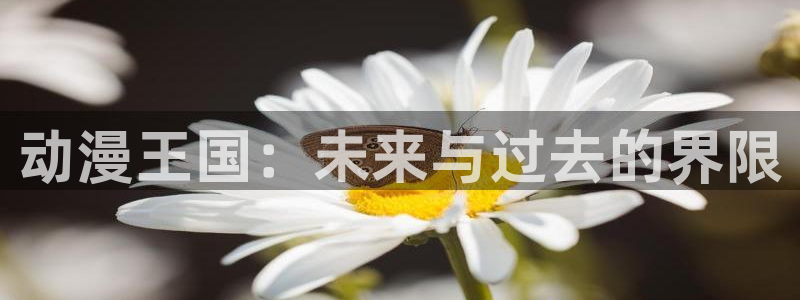 age动漫下载安装官方下载：动漫王国：未来与过去的界限